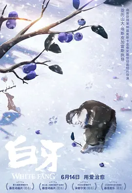 91视频免费网站