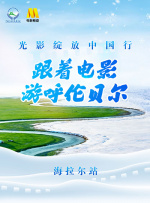 最黄的网站