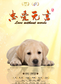 不忍心看不见