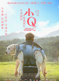 国产午夜电影在线观看不卡