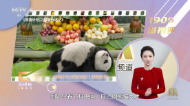 日韩亚洲综合在线